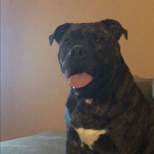 Meet your Posher, Bobby